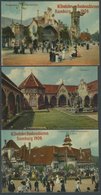 DEUTSCHLAND ETC. HAMBURG, 16. Deutsches Bundesschiessen Hamburg 1909, 3 Offizielle Farbige Ansichtskarten, 2x Mit Sonder - Andere & Zonder Classificatie