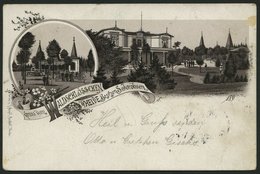 DEUTSCHLAND ETC. HEIDE In Holstein, Eine Farbige Lithografie Von 1896, Pracht - Otros & Sin Clasificación
