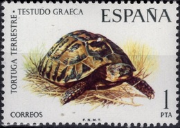ESPAGNE ESPANA SPAIN ** MNH TORTUE SCHILDKRÖTE TURTLE TORTOISE TORTUGA - Senegal (1960-...)