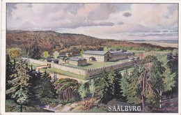 Saalburg 1911 Bad Homburg - Saalburg