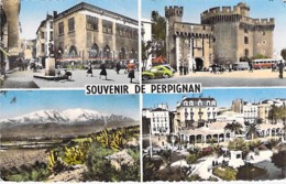 ** Lot De 2 Cartes ** 66 - PERPIGNAN : Jolie Multivues Et Palmarium - CPSM Dentelée Format CPA - Pyrenées Orientales - Perpignan