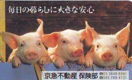 Télécarte Japon *  YEAR Of The PIG (己亥) ZODIAC  (594) COCHON * PHONECARD JAPAN * TK * SCHWEIN * PORCO * VARKEN - Zodiac