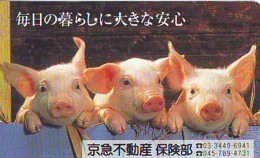 Télécarte Japon *  YEAR Of The PIG (己亥) ZODIAC  (594) COCHON * PHONECARD JAPAN * TK * SCHWEIN * PORCO * VARKEN - Zodiaque