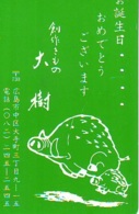 Télécarte Japon *  YEAR Of The PIG (己亥) ZODIAC  (639) COCHON * PHONECARD JAPAN * TK * SCHWEIN * PORCO * VARKEN - Zodiaco