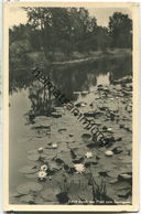 Springsee - Fliess - Foto-Ansichtskarte - Verlag Rudolf Lambeck Berlin-Grunewald - Storkow