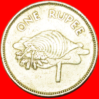 # GREAT BRITAIN: SEYCHELLES ★ 1 RUPEE 1982 TRITON SHELL! LOW START ★ NO RESERVE! - Seychellen
