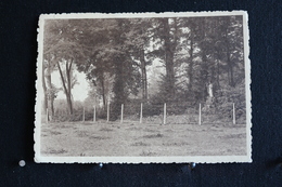 L - 86 / Flandre Orientale, Wetteren - Pensionnat Du Sacré-Coeur. Kostschool Van Het H. Hart - Un Coin Du Parc - Wetteren