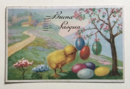 BUON PASQUA- VIAGGIATA FP -- - Ostern