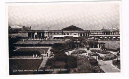 UK-3165  WESTON-SUPER-MARE : Lily Pond And Pavilion Dome - Weston-Super-Mare