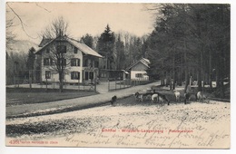 SIHLTHAL Wildpark Langenberg Restauration Gel. 1904 V. Langnau A.A. N. Rheineck Stempel Wildpark Station Gontenbach - Langnau Am Albis 