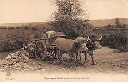 Pau       64          Paysage Béarnais   .Attelage De Bœufs .Chargement De Pierres.      (voir Scan) - Pau