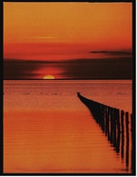 Abendstimmung An Der Husumer Bucht  -  Sonnenuntergang  -  Ansichtskarte Ca. 1987    (9454) - Husum
