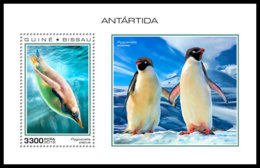 GUINEA BISSAU 2018 **MNH Antarctica Animals Tiere Der Antarktis Antarctique Animaux S/S - IMPERFORATED - DH1851 - Fauna Antártica