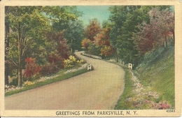 New York City (N.Y., Usa) Parksville - Parken & Tuinen