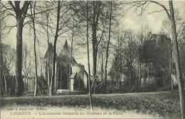 CPA De LUCHEUX - L'Ancienne Chapelle Du Château Et La Fôret. - Lucheux