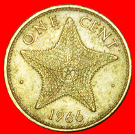 # GREAT BRITAIN (1966-1969): THE BAHAMAS ★ 1 CENT 1966! LOW START ★ NO RESERVE! - Bahama's