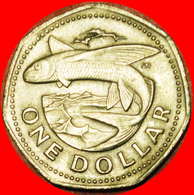 # GREAT BRITAIN FISH (1973-1986): BARBADOS ★ 1 DOLLAR 1973!  LOW START ★ NO RESERVE! - Barbades