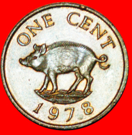 # PIG AND QUEEN (1970-1985): BERMUDA ★ 1 CENT 1978! LOW START ★ NO RESERVE! - Bermuda