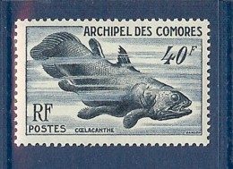 COMORES N° 13 FAUNE MARINE ** - Unused Stamps