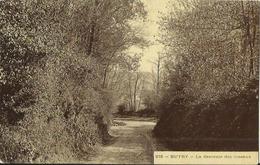 CPA De BUTRY - La Descente Des Côteaux. - Butry