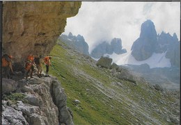 DOLOMITI  DI BRENTA  - VIA FERRATA SOSAT - TIMBRO RIFUGIO TUCKETT - VIAGGIATA 1988 - Klimmen