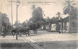 Dominique / 01 - Cart Load Of Grass - Dominica