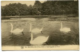 CPA - Carte Postale - Belgique - Bruxelles - Woluwe - Les Cygnes Du Parc - 1932 (SV6767) - Woluwe-St-Lambert - St-Lambrechts-Woluwe