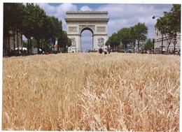 Delcampe - PARIS - L'Arc De Triomphe - Paris (08)