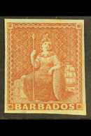 BARBADOS - Barbados (...-1966)