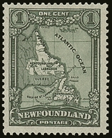 CANADA - NEWFOUNDLAND - Altri & Non Classificati