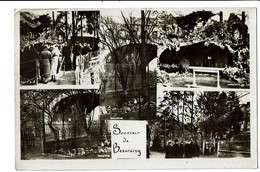 CPA - Cartes Postales-Belgique - Beauraing- Souvenir De Beauraing-1934- S4561 - Beauraing