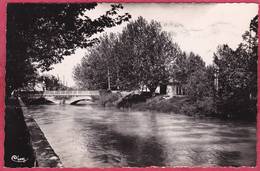 CPSM 84 ENTRAIGUES SUR  La SORGUE Le Pont De La Pierre   *  Format CPA ( L101 C/ MONTEUX - Entraigue Sur Sorgue