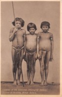 British Guyana / 07 - Children Of The Arecunas - Other & Unclassified