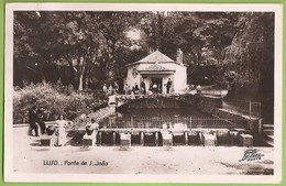 Luso - Fonte De S. João. Aveiro (Fotográfico) - Aveiro