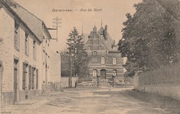 Gerpinnes - Rue Du Mont - Gerpinnes