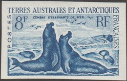 TAAF 1962 Y&T 13C Michel 25. Essai De Couleurs En Bleu Foncé. Combat D'éléphants De Mer - Antarctic Wildlife