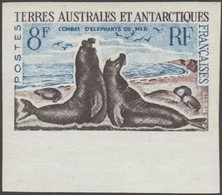 TAAF 1962 Y&T 13C Michel 25. Essai De Couleurs Tricolore, Proche De La Couleur Définitive. Combat D'éléphants De Mer - Faune Antarctique