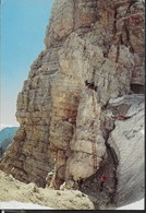 DOLOMITI DI BRENTA - VIA DELLE BOCCHETTE ALLA BOCCA DELLE ARMI - VIAGGIATA 1973 - Klimmen