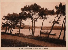 ILES CHAUSEY.-  Carte Commerciale De L'HOTEL DU FORT. Format 12x9 Cm - Autres & Non Classés