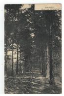 ZOERSEL  Dreef Van 't Zoerselhof 1908 - Zoersel