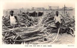 Nigeria - Topo / 33 - Lagos - Sugar Cane - Nigeria