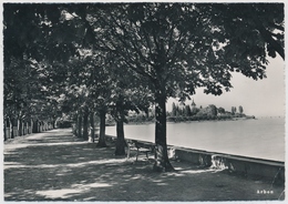 1951 Arbon - Allee - Arbon