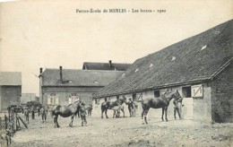 60 Ferme - école De MERLES Les Boxes 1920 CPA - Précy-sur-Oise