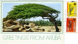 ARUBA  NETHELANDS ANTILLES  The Famous Divi-Divi  Nice Stamps Antillen Bonaire St Marten - Aruba