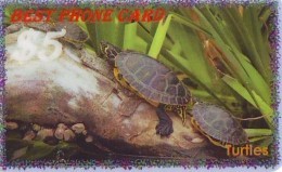 Télécarte * USA  (2371) TORTUE * TURTLE *  Phonecard * SCHILDKRÖTE * TELEFONKARTE - Turtles