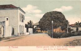 Sao Tome Et Principe / 15 - Enorme Parasita Sobre O Muro Da Casa Salvador - Belle Oblitération - Sao Tomé E Principe