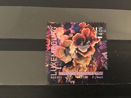 Luxemburg / Luxembourg - Paddenstoelen 2013 - Used Stamps
