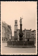 B9533 - TOP Foto - Zittau Brunnen - Zittau