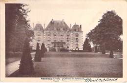 45 - MONTBOUY : Chateau De Salleneuve - CPA - - Autres & Non Classés