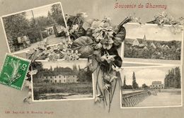 - Souvenir De CHARMOY (89) - Multivues (château, église, Ferme, Barrage)  -10653- - Charmoy